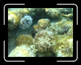 Tortola 247 * 2048 x 1536 * (1.3MB)